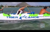 A Look at the Tiger V3