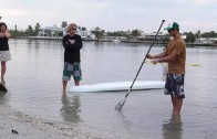 Ching: Hang on the Paddle