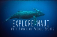 Hawaiian Paddle Sports Maui