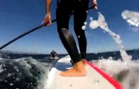 Santa Cruz SUP Downwinder