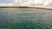 2015 PA’A Kaiwi Channel Solo